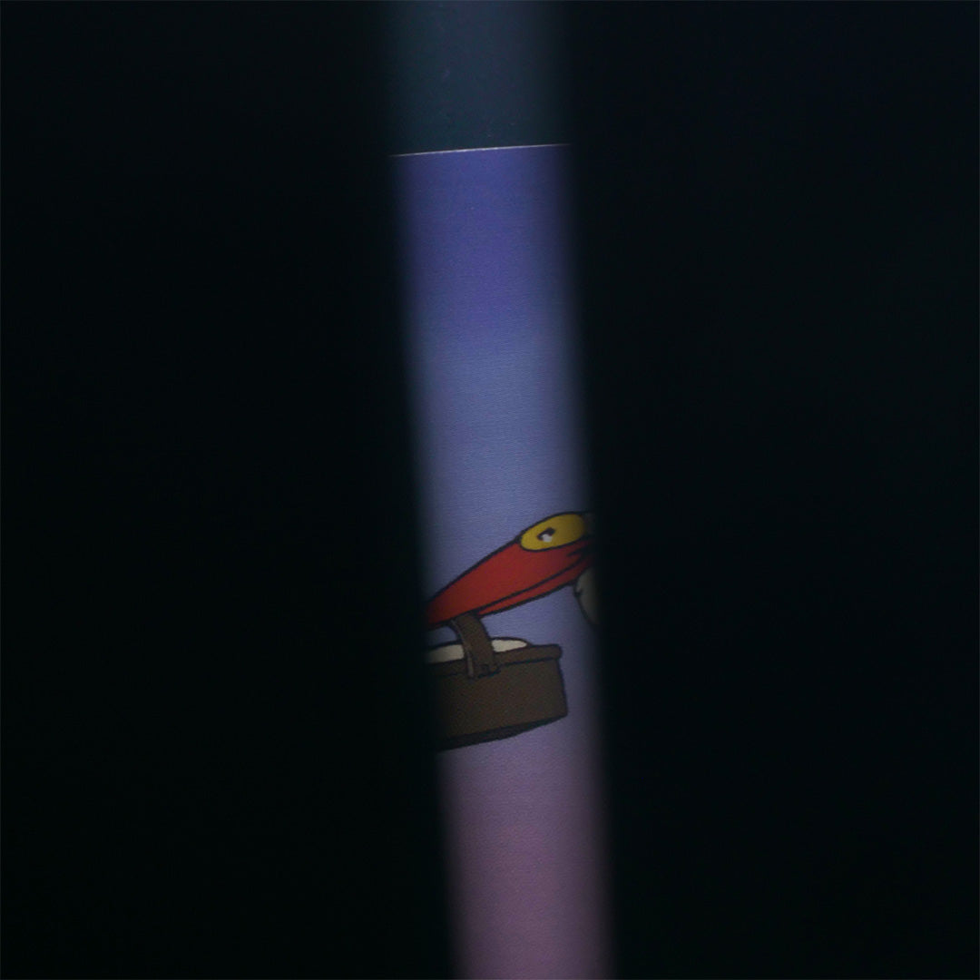 Zoetrope  "Promenade Fleurie"